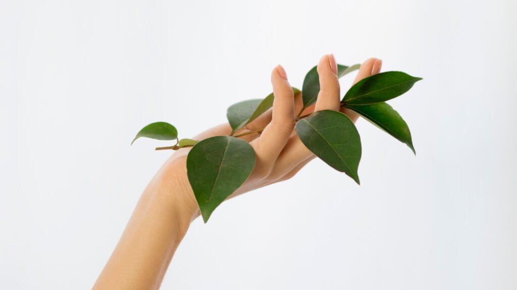 Home 3 front view hand holding leafs