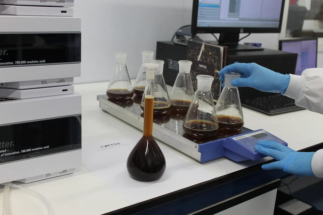 Scientist wearing blue gloves handling coffee samples in flasks on a laboratory shaker for quality analysis.