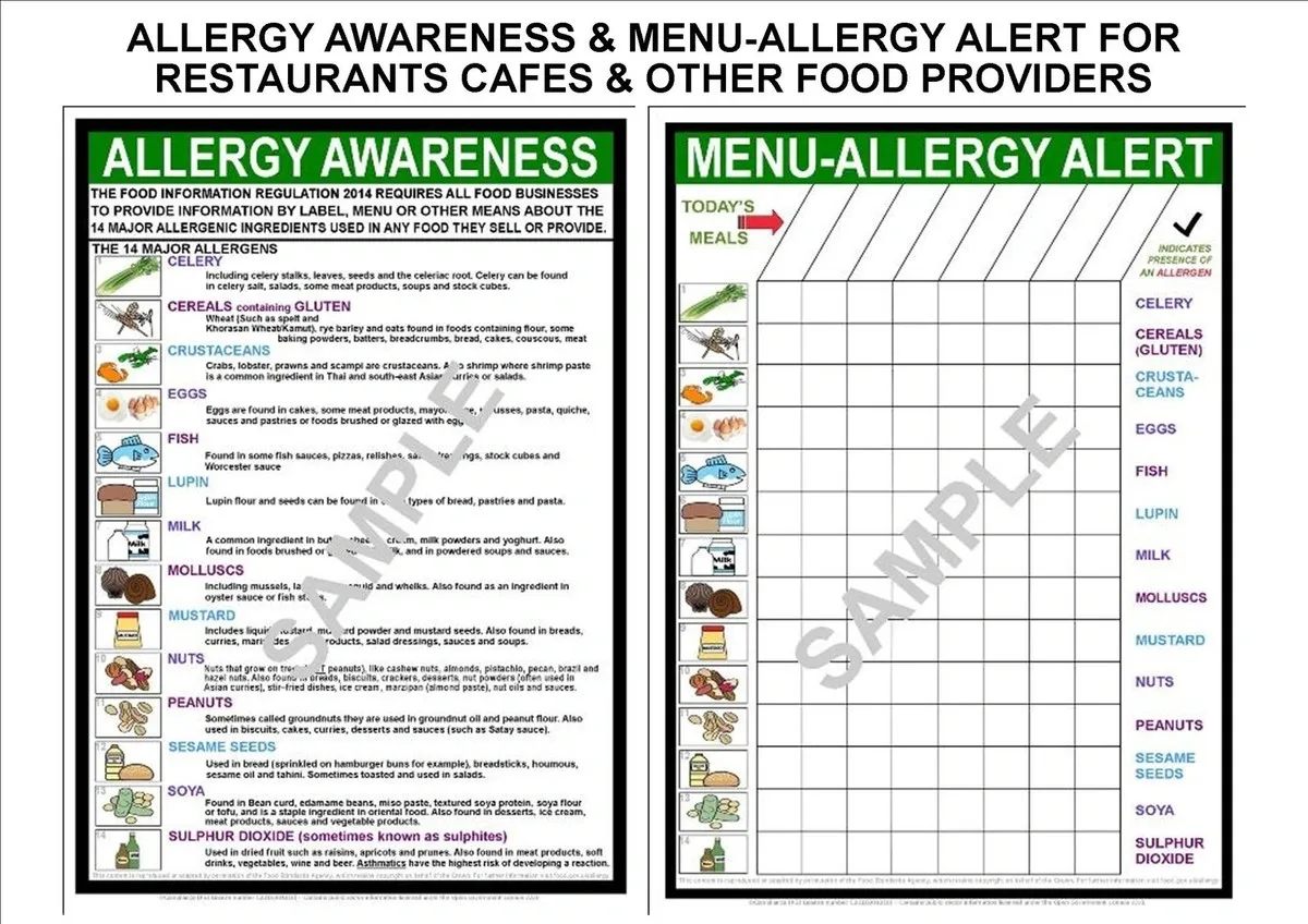 FSA Allergen Guidance for Food Businesses: Interpretation and Practical Application 3 Two A4 posters detailing food allergy awareness and menu-allergy alert for restaurants and food providers.