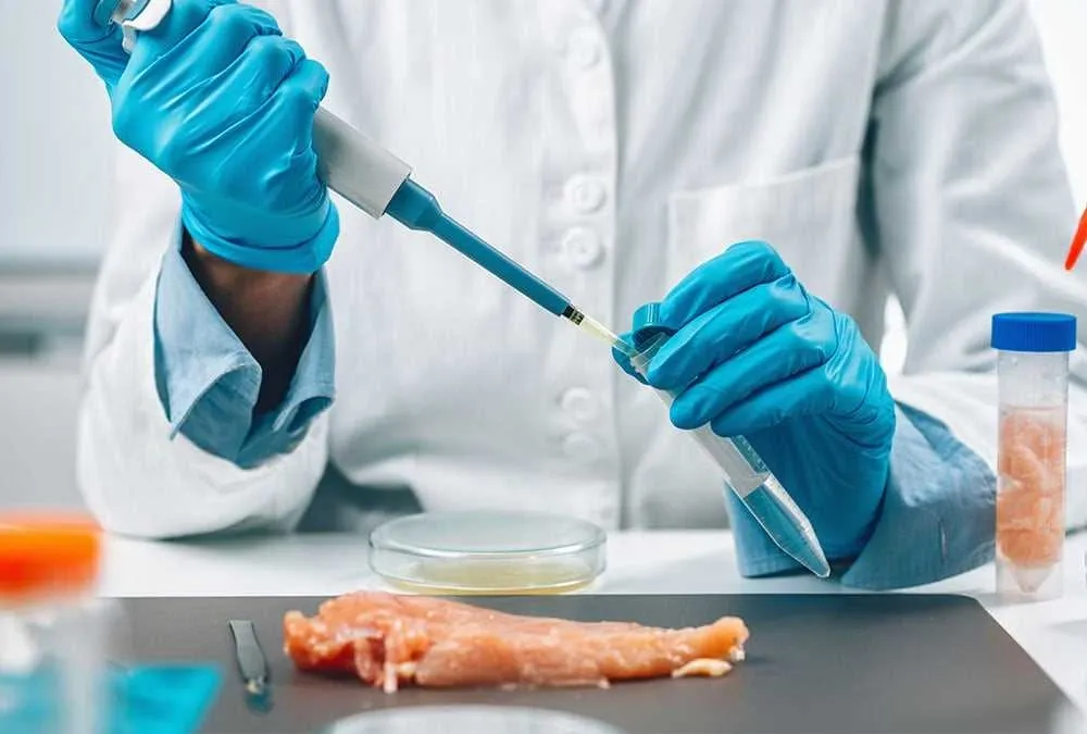 Scientist in blue gloves testing a food sample with a pipette in a laboratory setting for allergen analysis.