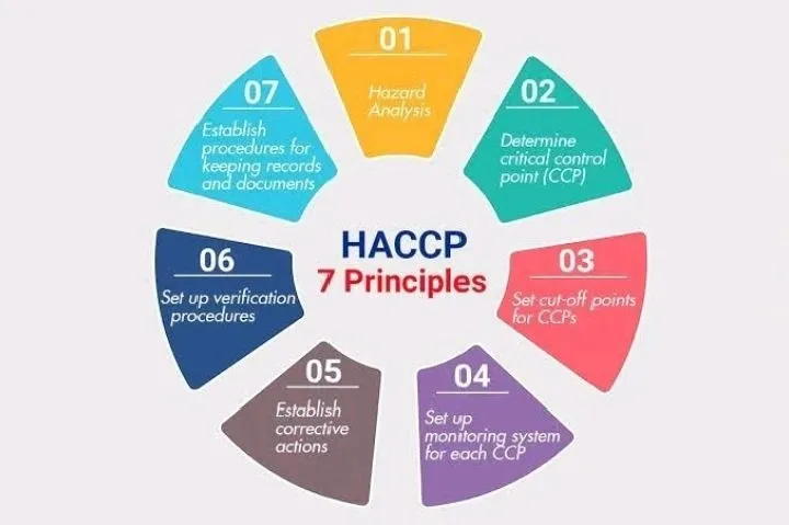 Diagram showing the 7 key HACCP principles for food safety, including hazard analysis and establishing procedures for CCPs.