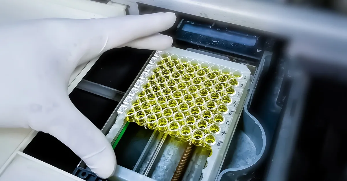 ELISA Allergen Testing Verification: Laboratory Methods and Detection Capabilities 4 Gloved hand holding a microplate with yellow liquid samples for food allergen testing in a lab instrument.