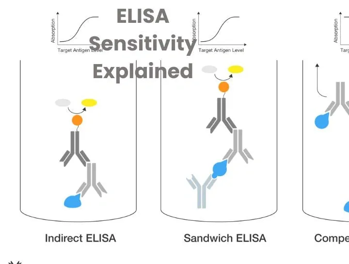 Diagram explaining ELISA sensitivity with graphs and illustrations of Indirect, Sandwich, and Competitive ELISA methods.