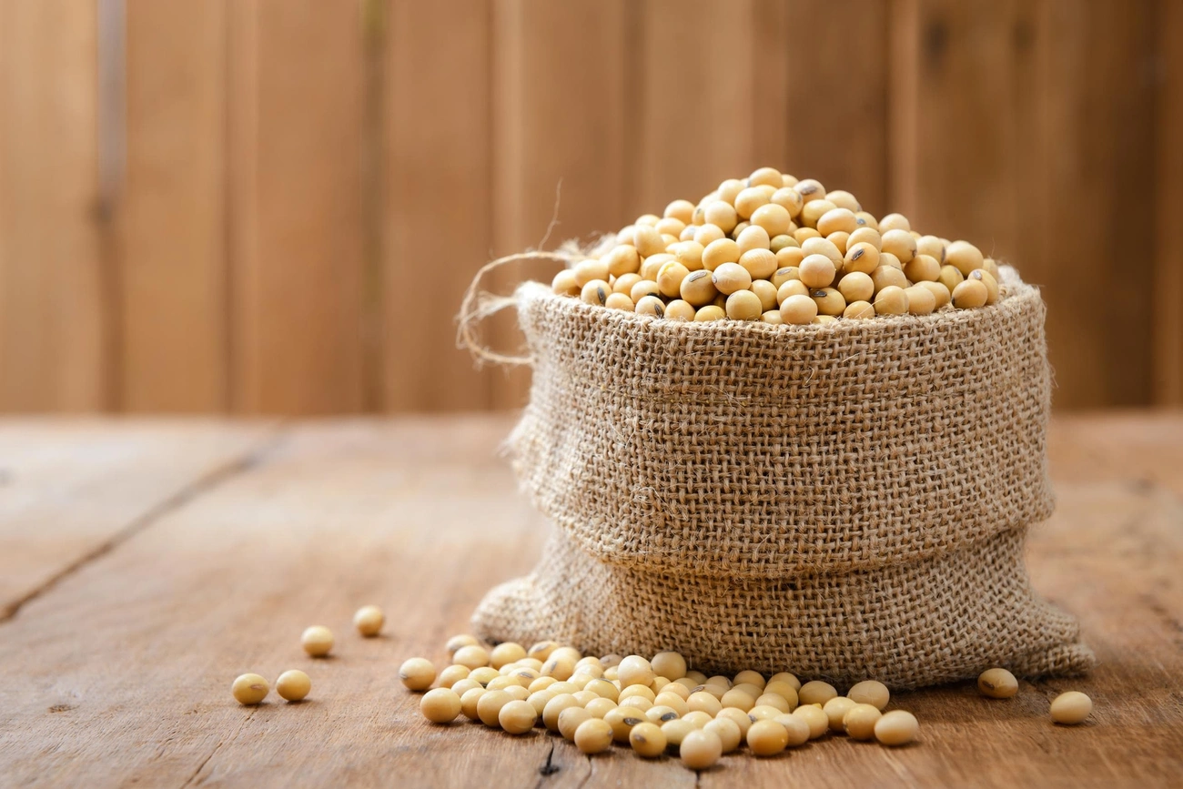 A burlap sack filled with soybeans spilling onto a wooden surface against a wooden background.