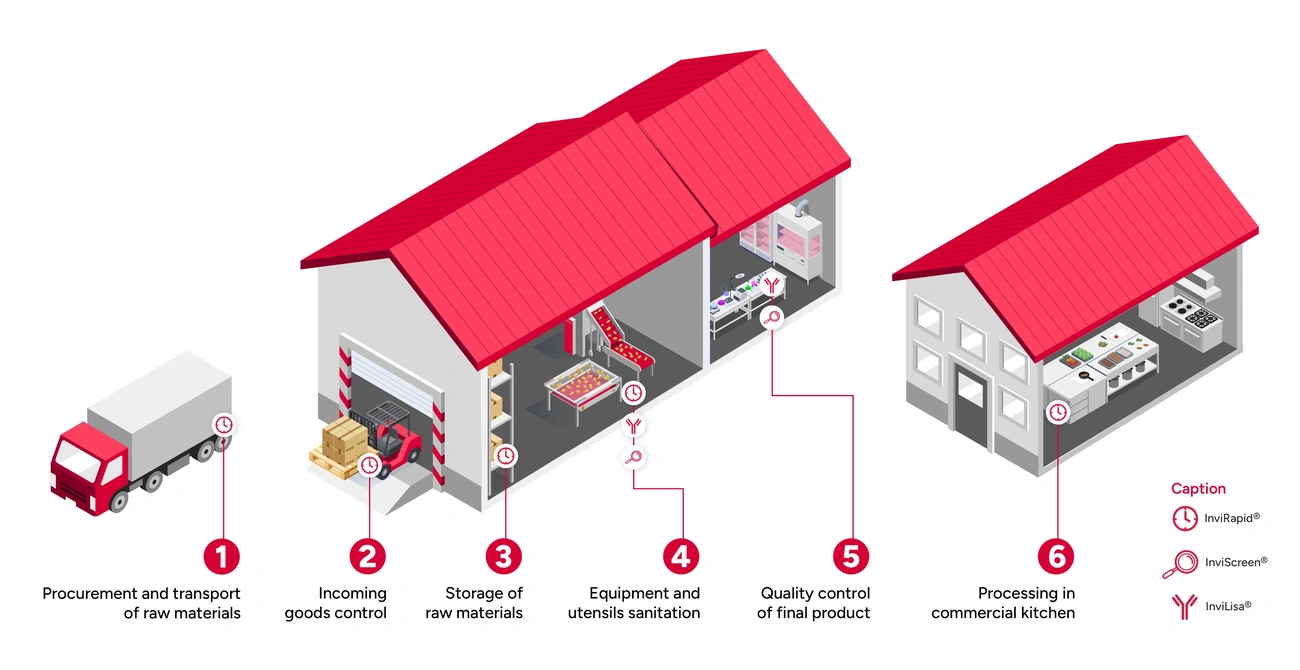 Steps in food allergen testing from raw material procurement to commercial kitchen processing using ELISA, PCR, and LFA methods.