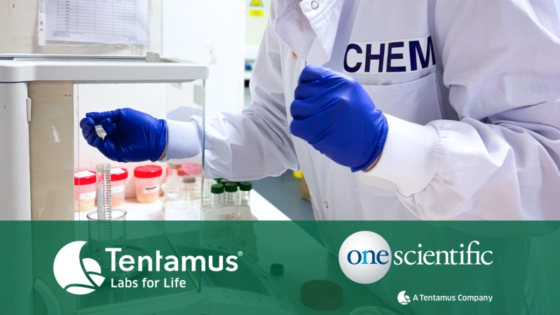 Laboratory technician in blue gloves handling samples in a food allergen management lab by Tentamus and One Scientific.